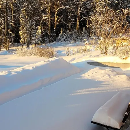 Ferienbungalow Sonnenwald Bayerischer Wald-3