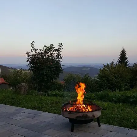 Ferienbungalow Sonnenwald Bayerischer Wald-2